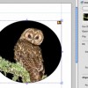 snap grid on off in istudio publisher