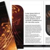istudio publisher crop photo